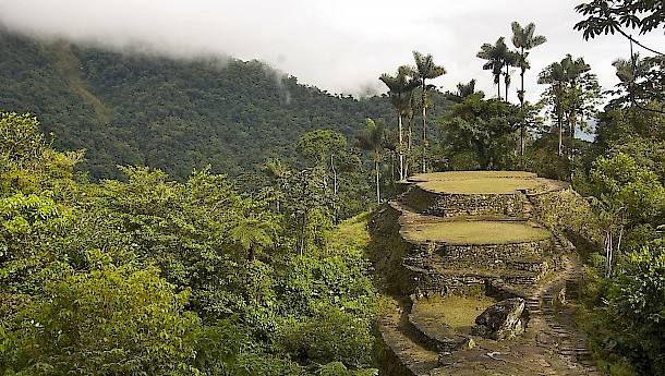 View from the top terrace at Ciudad Perdida, the lost city in Colombia. Photo: Jenny Leonard | shutterstock.com