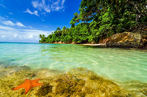 Green island in San Andres y Providencia. Photo: Jess Kraft | dreamstime.com