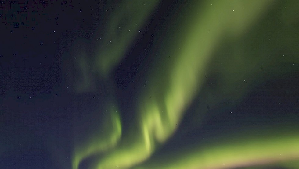 The Northern Lights above Hotel Rangá. Photo: Hotel Rangá