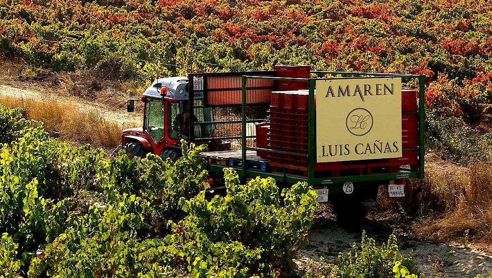 Bodegas Luis Canas produces high-quality reds and whites at its Villabuena de Alava winery. Photo: Luis Canas
