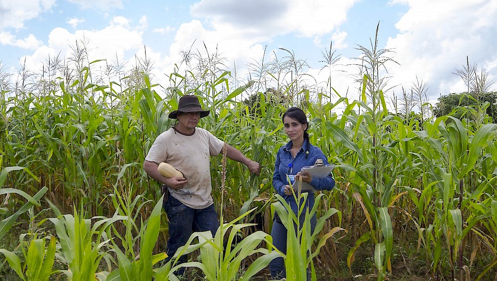 Sustainable farming Caño Limon. Photo: ANH