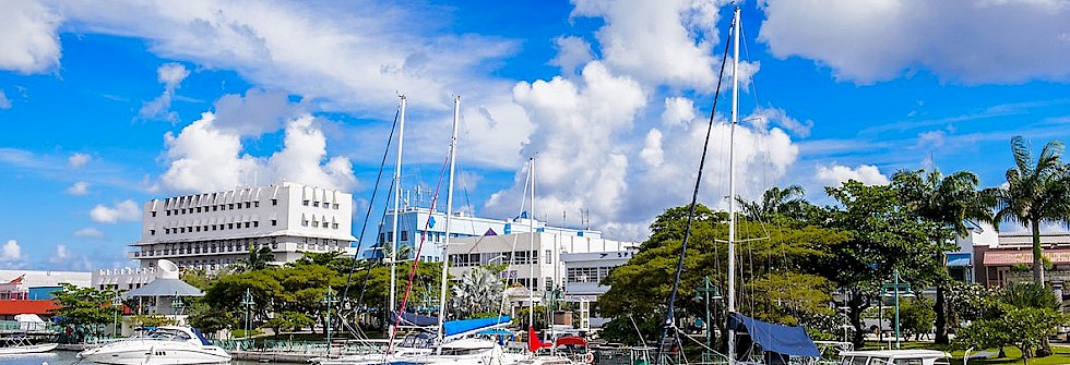 Barbados’s open house to global business