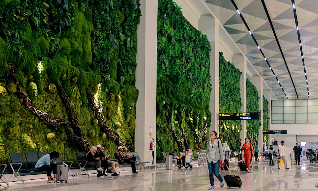 Building a Greener Indonesia