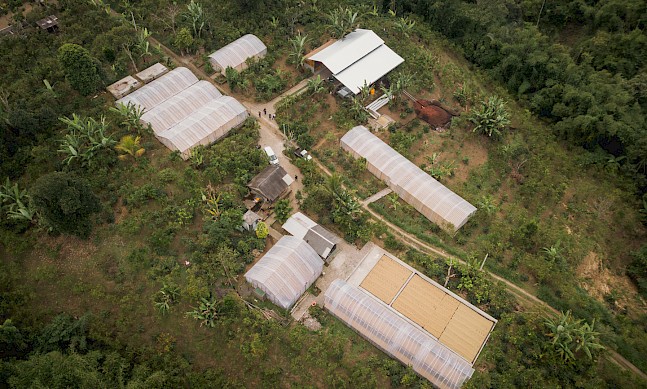 Indonesia: Leading Voices