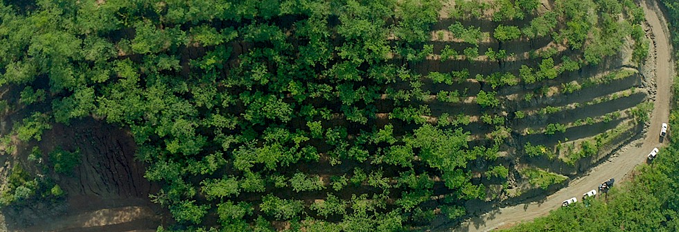 Green Nickel, Global Future