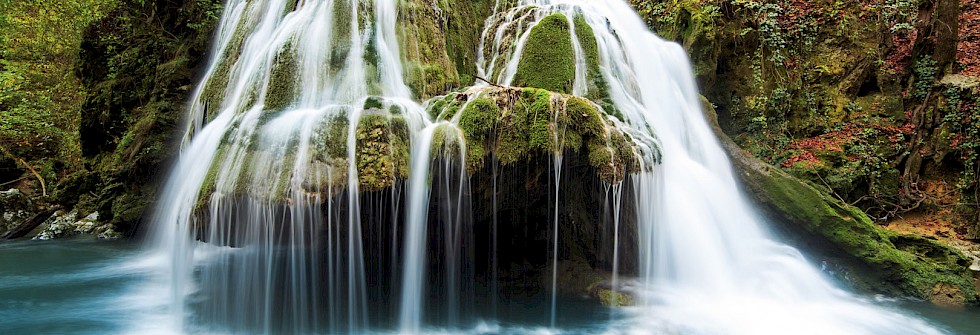 A taste of the Carpathians
