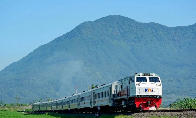 Danantara Catalyzes Indonesia’s Next Growth Phase