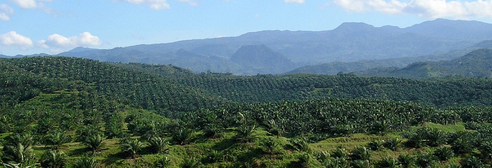 Indonesia Expands Its Global Trade Reach
