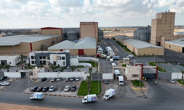 Driving Economic Transformation