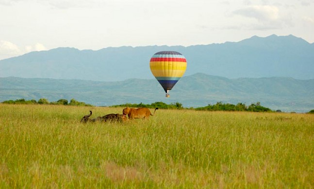 The Pearl of Africa shines