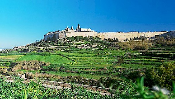 A panoramic view of Mdina